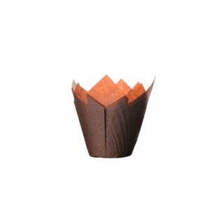 Tulipa Lisa Marron N°16_Tulipa Lisa Marron N°16